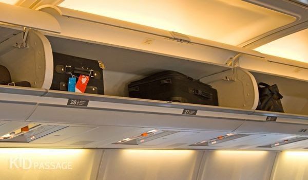 О правилах провоза багажа в авиакомпании Aegean Airlines